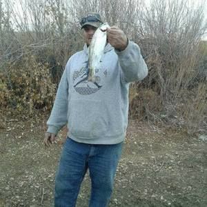 Meet your Posher, Erik